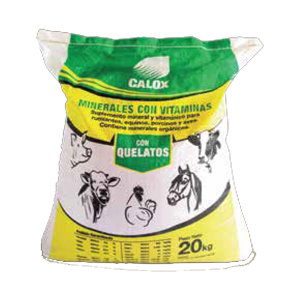 Limpiador de Oídos Natural CALOX - Calox Veterinaria Centroamérica -  Productos veterinarios para ganadería, mascotas, aves y cerdos